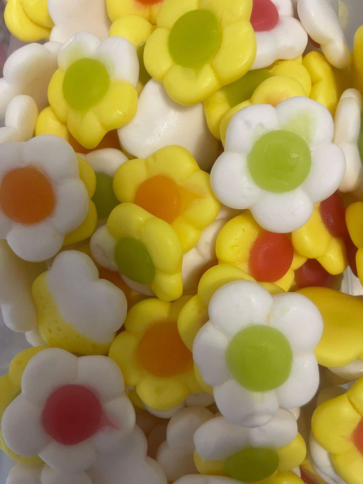 Marguerites Daisie 100G
