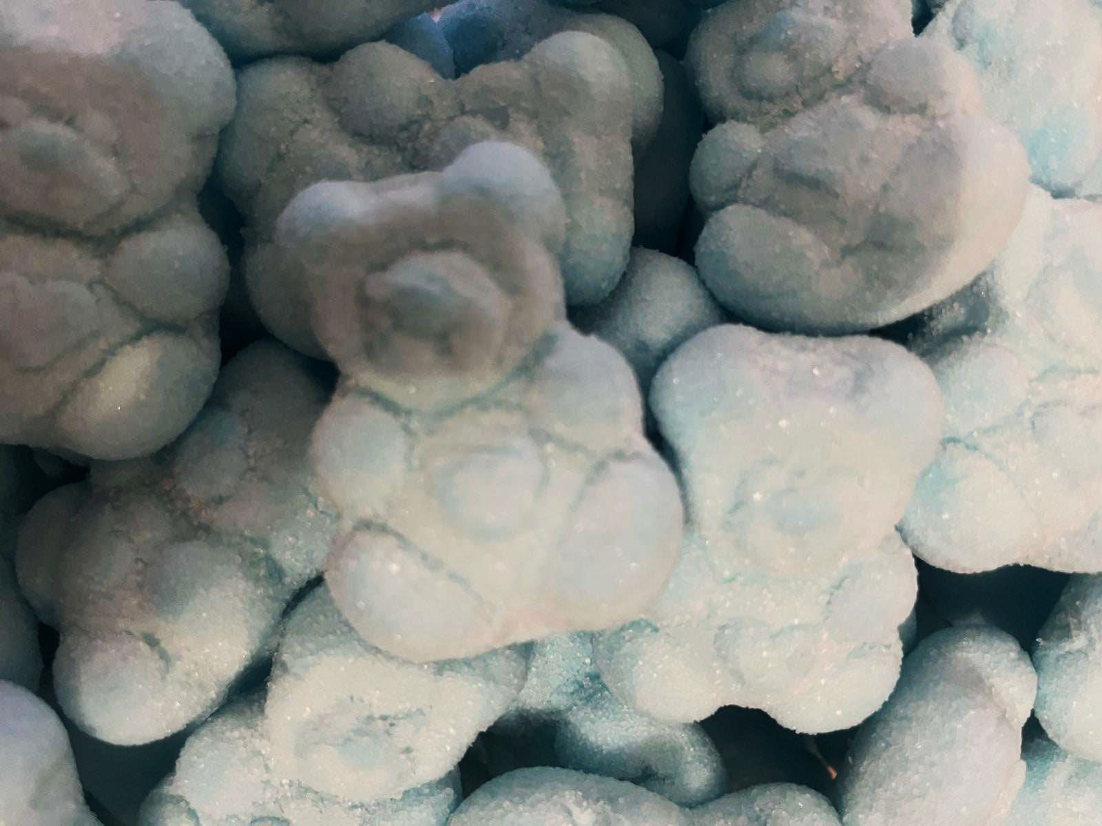 Ourson Guimauve Rose Ou Bleu