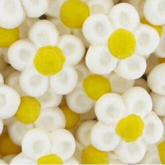 Guimauves Fleurs Blanches