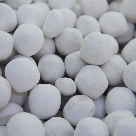 Caraneige caramel  100G