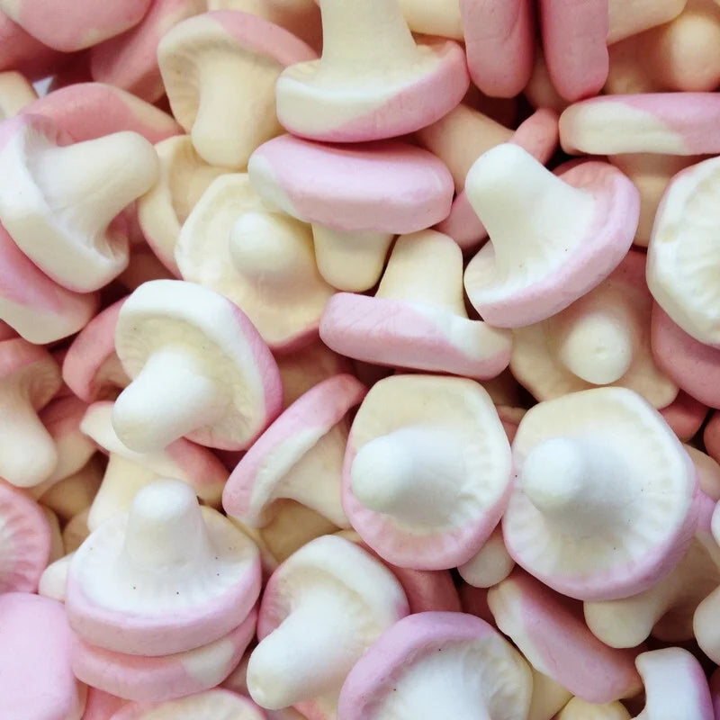 Champignon lisse 100G