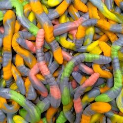 serpents lisses (100g)